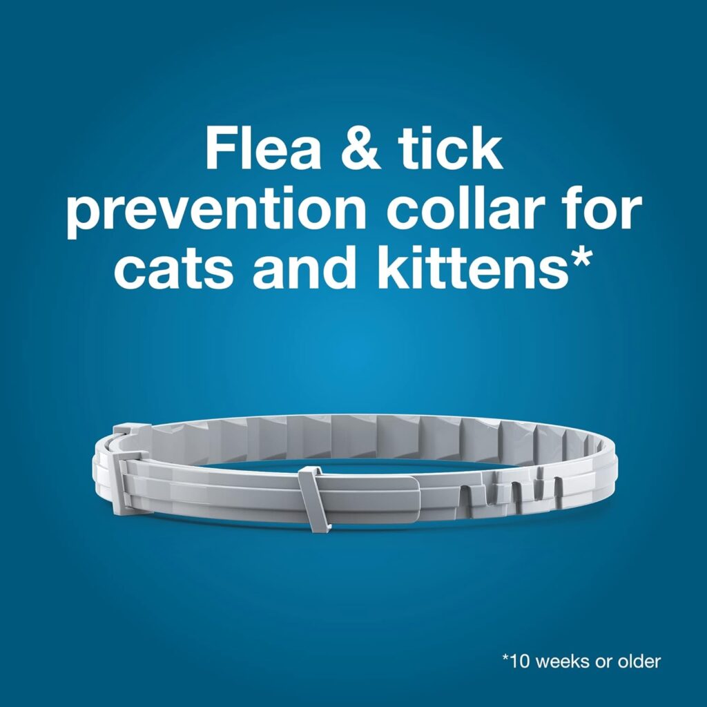 Cat Collar