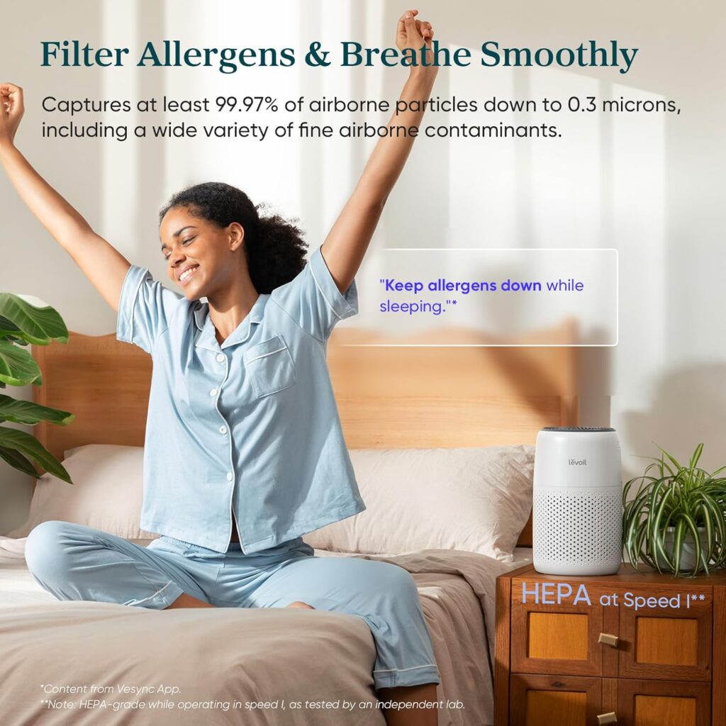 air purifier for smoke