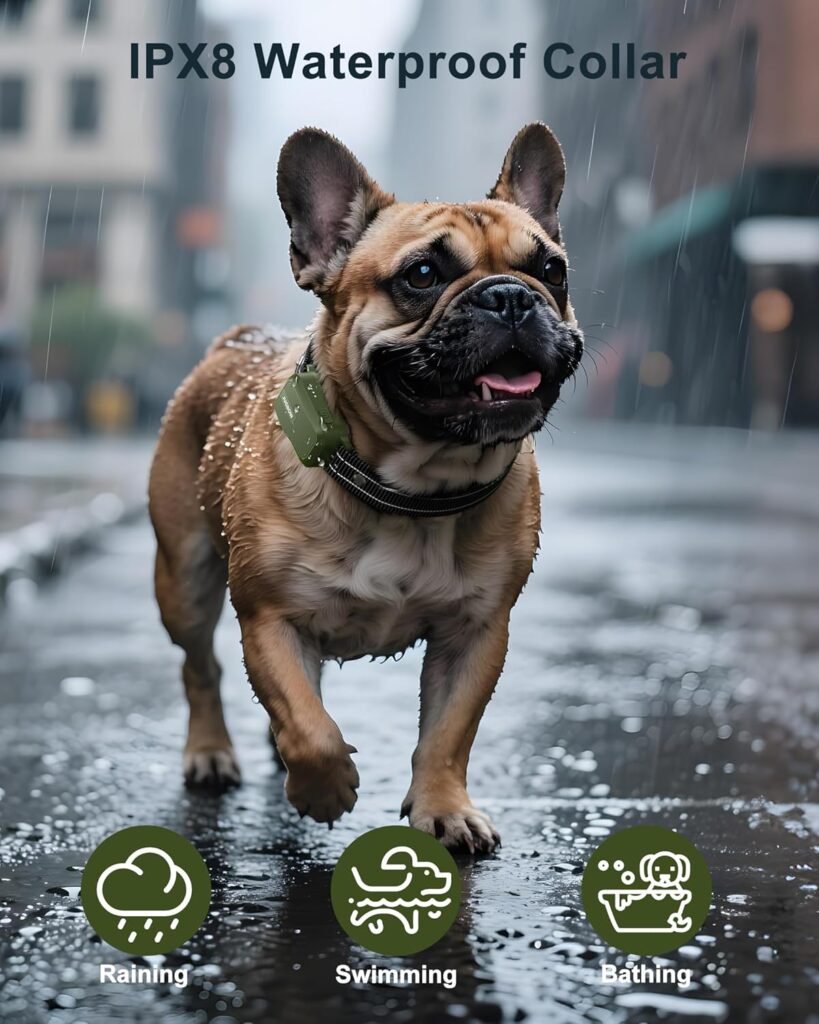 electric collar for big dogs